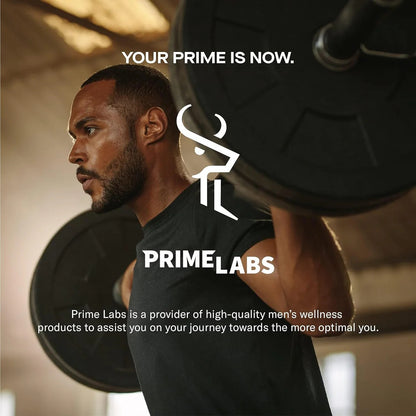 Prime Test Optimize Performance